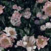 New Dawn Rose 7234